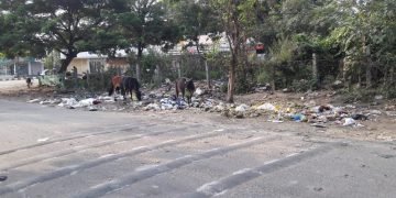 ಶಿವಮೊಗ್ಗ: ಡೆಂಗ್ಯೂ ಜ್ವರಕ್ಕೆ ಆವಾಸ ಸ್ಥಾನವಾಗಿದೆ ಈ ಸ್ಥಳ