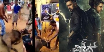 ಚಿತ್ರಕ್ಕಾಗಿ ಕೋಣ ಬಲಿ, ಪೇಟಾ ಸಂಘಟನೆಯವರು ಎಲ್ಲಿ ತೊಲಗಿದ್ದೀರೀ?