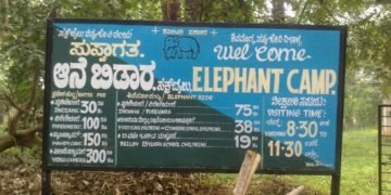 ಪ್ರವಾಸಗರೇ ಗಮನಿಸಿ: ಫೆ.4ರಂದು ಸಕ್ರೆಬೈಲು ಆನೆ ಬಿಡಾರಕ್ಕೆ ಪ್ರವೇಶವಿಲ್ಲ