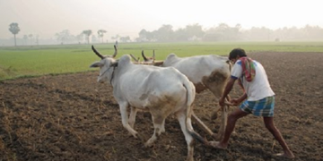 ಶಿವಮೊಗ್ಗ ಜಿಲ್ಲೆಯಲ್ಲಿ ಈವರೆಗೂ ಸಾಲಮನ್ನಾ ಆಗಿರುವ ಮೊತ್ತ ಎಷ್ಟು ಗೊತ್ತಾ?