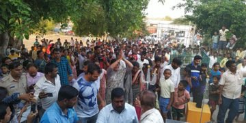 ಹಾವು ಮುಂಗುಸಿಗಳಂತೆ ಕಿತ್ತಾಡಿದ್ದ ಎಚ್’ಡಿಕೆ-ಡಿಕೆಶಿ ಜೋಡೆತ್ತುಗಳಂತೆ: ಸುಮಲತಾ ವ್ಯಂಗ್ಯ