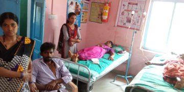 ಅರಲಗೋಡುವಿನಲ್ಲಿ ಸತ್ತ ಮಂಗಗಳೆಷ್ಟು ಗೊತ್ತಾ? ಇಲ್ಲಿದೆ ವೃಕ್ಷಲಕ್ಷ ಆಂದೋಲನದ ವರದಿ