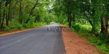 ಮಲೆನಾಡ ಸಂಮೃದ್ಧ ಕಾಡನ್ನು ನುಣ್ಣಗೆ ಸವರಿ ರಸ್ತೆ ನಿರ್ಮಿಸುವುದನ್ನು ಅಭಿವೃದ್ಧಿ ಎನ್ನುತ್ತೀರಾ?