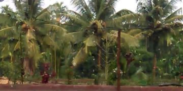 ಹೊಸನಗರ ತಾಲೂಕಿನಲ್ಲಿ ಗುಡುಗು, ಸಿಡಿಲು ಸಹಿತ ಆಲಿಕಲ್ಲು ಮಳೆ