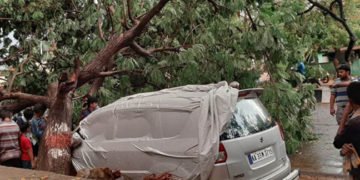 ದಾವಣಗೆರೆಯಲ್ಲಿ ಗುಡುಗು, ಸಿಡಿಲು, ಮಳೆಯ ಅಬ್ಬರ: ರೈತ ಬಲಿ