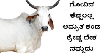 ಗೋ ಸಂತತಿ ಉಳಿಸದಿದ್ದರೆ ಮುಂದಿನ ಪೀಳಿಗೆ ನಮ್ಮನ್ನು ಕ್ಷಮಿಸುವುದಿಲ್ಲ