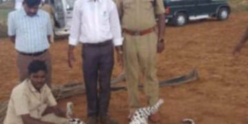 ಚಿತ್ರದುರ್ಗ: ಹೊಳಲ್ಕೆರೆಯ ಗುಂಡೇರಿ ಗ್ರಾಮದ ಬಳಿ ಜಮೀನಿನಲ್ಲಿ ಚಿರತೆ ಸಾವು 