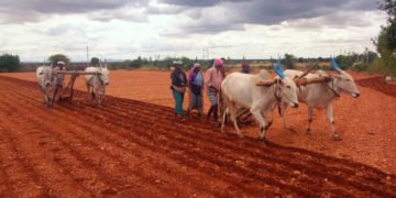 ಎಲ್ಲಿ ಹೋಗುವಿರಿ ನಿಲ್ಲಿ ಮೋಡಗಳೆ, ನಾಲ್ಕು ಹನಿಯ ಚೆಲ್ಲಿ ‘ಚಳ್ಳಕೆರೆ’ಯಲ್ಲಿ