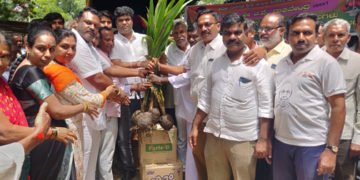 ಸಾರ್ವಜನಿಕ ಆಸ್ಪತ್ರೆಯಲ್ಲಿ ತೆಂಗಿನ ಸಸಿ ವಿತರಿಸಿ ಸಂಸದರ ಜನ್ಮ ದಿನಾಚರಣೆ