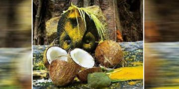 ಪ್ರಾಕೃತಿಕ ಸಂಪತ್ತಿನೊಂದಿಗೆ ‘ನಾಗಬನ’ ಸಂರಕ್ಷಿಸುವ ಪಣ ತೊಡೋಣ