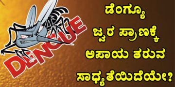 ಡೆಂಗ್ಯೂ ಜ್ವರ ನಿರ್ಲಕ್ಷಿಸಿದರೆ ಮರಣ ನಿಶ್ಚಿತ: ಮುಂಜಾಗ್ರತೆಗೆ ಈ ಅಂಶಗಳನ್ನು ತಿಳಿದಿರಿ
