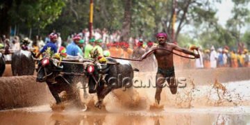 ತುಳುನಾಡ ಜನಪದ ಕ್ರೀಡೆ ಕಂಬಳದ ಓಟಗಾರ ಸರಳ ಸಜ್ಜನಿಕೆಯ ಕಾಂತಾವರ ಗುರುಪ್ರಸಾದ್ ಕೋಟ್ಯಾನ್