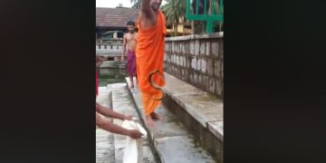 ಸ್ವತಃ ಹಾವು ಹಿಡಿದು ಸರಳ ವಿಧಾನ ತೋರಿಸಿದ ಪೇಜಾವರ ಶ್ರೀಗಳು: ವೀಡಿಯೋ ವೈರಲ್