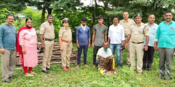 ಭದ್ರಾವತಿ: ಚಿರತೆ ಬೇಟೆಯಾಡಿ ಚರ್ಮ ಸಂಗ್ರಹಿಸಿದ್ದ ದೊಡ್ಡೇರಿಯ ವ್ಯಕ್ತಿ ಬಂಧನ