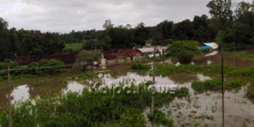 ಭದ್ರಾವತಿ ಹಳೇ ಕವಲಗುಂದಿಯಲ್ಲಿ ಪ್ರವಾಹ: ಹಲವು ಮನೆಗಳು ಮುಳುಗಡೆ