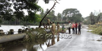 ಭದ್ರಾ ನದಿ ನೀರು ಇಳಿಕೆ: ಪ್ರವಾಹದ ರಭಸಕ್ಕೆ ಸೇತುವೆ ಪರಿಸ್ಥಿತಿ ಏನಾಗಿದೆ?