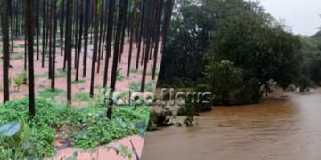 ಭಾರೀ ಮಳೆ: ಶಿವಮೊಗ್ಗ-ಮಂಗಳೂರು ರಸ್ತೆ ಬಂದ್, ಅಪಾಯದ ಮಟ್ಟದಲ್ಲಿ ಸೀತಾ, ಮಾಲತಿ ನದಿ