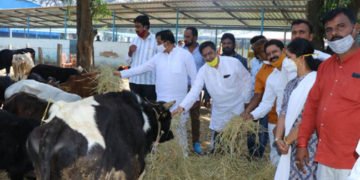 ಮಾಜಿ ಶಾಸಕ ಪ್ರಸನ್ನ ಕುಮಾರ್ ಅವರಿಂದ ಇಂದಿರಾಗಾಂಧಿಯವರ ಅರ್ಥಪೂರ್ಣ ಜನ್ಮದಿನಾಚರಣೆ