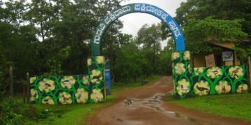 ನ.13ರಂದು ಗುಡವಿ ಪಕ್ಷಿಧಾಮಕ್ಕೆ ಪಕ್ಷಿತಜ್ಞರ ಭೇಟಿ, ಪರಿಶೀಲನೆ