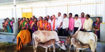 ಗೋಹತ್ಯೆ ನಿಷೇಧ ಮಸೂದೆ ಅನುಮೋದನೆ: ವಿವಿದೆಢೆ ಗೋ ಪೂಜೆ ಸಲ್ಲಿಸಿ ಸಂಭ್ರಮಾಚರಣೆ