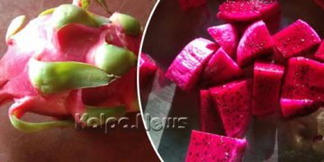 ಡ್ರ್ಯಾಗನ್ ಫ್ರೂಟ್’ನಲ್ಲಿರುವ ಆರೋಗ್ಯಕರ ಪೋಷಕಾಂಶಗಳೇನು ಗೊತ್ತಾ?