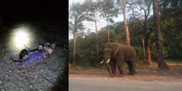 ಕಾಡಾನೆ ದಾಳಿ ಓರ್ವ ಸಾವು