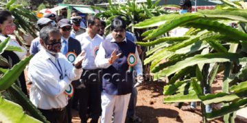 ತೋಟಗಾರಿಕೆ ಉತ್ಪಾದನೆಯಲ್ಲಿ ಎರಡನೇ ಸ್ಥಾನಕ್ಕೇರಲು ಕ್ರಮ: ತೋಟಗಾರಿಕೆ ಸಚಿವ ಶಂಕರ್
