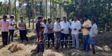 ಗುಬ್ಬಿಗ ಗ್ರಾಮದಲ್ಲಿ ವಿದ್ಯುತ್ ತಗುಲಿ ಸುಟ್ಟು ಕರಕಲಾದ ಹುಲ್ಲಿನ ಬಣವೆ