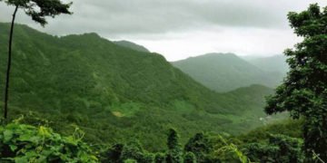 ಕಸ್ತೂರಿ ರಂಗನ್ ವರದಿ: ಮಾರ್ಪಾಡು ಪ್ರಕ್ರಿಯೆ ಚುರುಕುಗೊಳಿಸುವಂತೆ ಮನವಿ