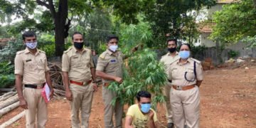 ಸಾಗರದಲ್ಲಿ ಅಬಕಾರಿ ಅಧಿಕಾರಿಗಳ ದಾಳಿ: ಗಾಂಜಾ ಆರೋಪಿ ಬಂಧನ