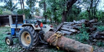 ಮರಗಳ ಅಕ್ರಮ ಕಡಿತಲೆ : ಟ್ರ್ಯಾಕ್ಟರ್ ಸಮೇತ ಮೂವರು ವಶಕ್ಕೆ