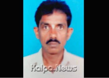 ಹೆಜ್ಜೇನು ದಾಳಿ: ವ್ಯಕ್ತಿ ಸಾವು