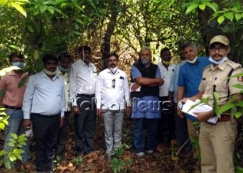 ಶಿವಮೊಗ್ಗದ ಆನಂದಪುರಂ ಸಮೀಪ ಗಂಟಿನಕೊಪ್ಪದಲ್ಲಿ ಅಪರೂಪದ ದೇವರಕಾಡು ಪತ್ತೆ