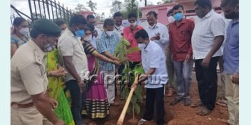 ಸಾಗರ: ಹಸಿರೀಕರಣ ಕಾರ್ಯಕ್ರಮಕ್ಕೆ ಶಾಸಕ ಹಾಲಪ್ಪ ಚಾಲನೆ