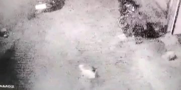 ಶಾಕಿಂಗ್ ವೀಡಿಯೋ ನೋಡಿ: 17 ವರ್ಷದ ಬಾಲಕಿಯನ್ನು 2ನೆಯ ಮಹಡಿಯಿಂದ ಕೆಳಕ್ಕೆ ಬಿಸಾಡಿದ ದುರುಳರು