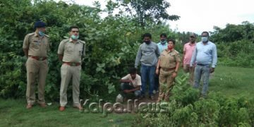 ಭದ್ರಾವತಿ: ಅಕ್ರಮ ಗಾಂಜಾ ಮಾರಾಟ: ಓರ್ವನ ಬಂಧನ