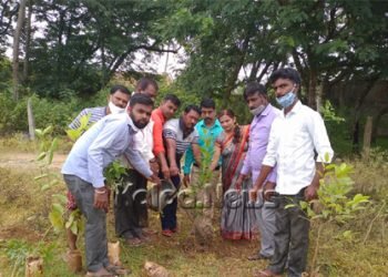 ಡಾ. ಶಾಮಪ್ರಸಾದ ಮುಖರ್ಜಿ ಜಯಂತಿ: ಜುಲೈ 6 ರವರೆಗೆ ವನಮಹೋತ್ಸವ ಕಾರ್ಯಕ್ರಮ