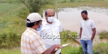 ಬೆಳೆ ಹಾನಿ ಸಮೀಕ್ಷೆ ನಡೆಸಿ ಪರಿಹಾರ ನೀಡಬೇಕು: ಶಾಸಕ ಬಂಡೆಪ್ಪ ಖಾಶೆಂಪುರ್