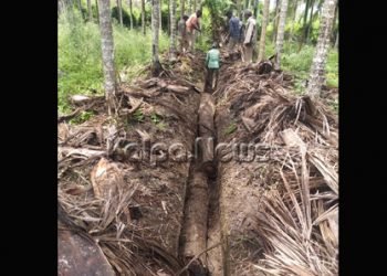 ಭದ್ರಾವತಿ: ಅರಣ್ಯಾಧಿಕಾರಿಗಳ ದಾಳಿ ಸಾಗುವಾನಿ ನಾಟ ವಶ…