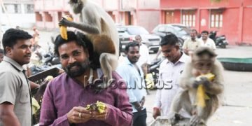 ಸಚಿವ ಶ್ರೀರಾಮುಲು ತಲೆ ಮೇಲೆ ಹತ್ತಿ ಕುಳಿತ ವಾನರ ಸೈನ್ಯ! ಏನಿದು ಸುದ್ಧಿ?