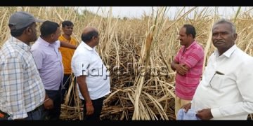 ಸುಟ್ಟುಹೋದ ಕಬ್ಬಿನ ತೋಟಕ್ಕೆ ಶಾಸಕ ಬಂಡೆಪ್ಪ ಖಾಶೆಂಪುರ್ ಭೇಟಿ: ಪರಿಹಾರ ನೀಡುವಂತೆ ಅಧಿಕಾರಿಗಳಿಗೆ ಸೂಚನೆ