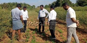 ಕಾಲಕ್ಕೆ ತಕ್ಕ ಬೆಳೆ ಭಿತ್ತನೆ ಮಾಡುವುದನ್ನು ರೂಢಿಸಿಕೊಳ್ಳಬೇಕು: ರೈತರಿಗೆ ಕೃಷಿ ಅಧಿಕಾರಿಗಳ ಸಲಹೆ