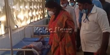 ಜೇನು ಕಡಿತದಿಂದ 16 ಮಕ್ಕಳಿಗೆ ಗಂಭೀರ ಗಾಯ: ಶಾಸಕಿ ರೂಪಾಲಿ ನಾಯ್ಕ ಆಸ್ಪತ್ರೆಗೆ ಭೇಟಿ