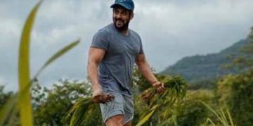 ಬಾಲಿವುಡ್ ನಟ ಸಲ್ಮಾನ್ ಖಾನ್’ಗೆ ಹಾವು ಕಡಿತ