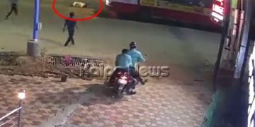 ಸ್ಕೂಟರ್ ಸವಾರನ ಜೀವ ಉಳಿಸಿದ ಹೆಲ್ಮೆಟ್! ಸಿಸಿಟಿವಿಯಲ್ಲಿ ಸೆರೆಯಾದ ಅಪಘಾತದ ದೃಶ್ಯ ಇಲ್ಲಿದೆ ನೋಡಿ…