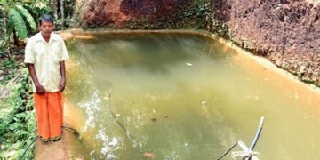 ಫೆ.6ರಂದು ಮಹಾಲಿಂಗ ನಾಯ್ಕ ಅಮೈರಿಗೆ ಅಭಿನಂದನಾ ಸಮಾರಂಭ