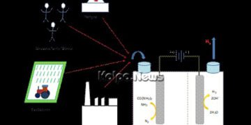 Scientists develop energy-efficient hydrogen production by urea electrolysis