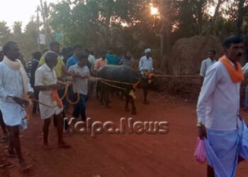 ಚಂದ್ರಗುತ್ತಿ: ಶಾಂತಿಯುತ ಮಾರಿಜಾತ್ರೆ ಆಚರಣೆಗೆ ಅಸಾದಿ ರಾಜಮೂಗೂರು ಕರೆ