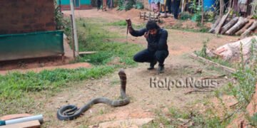 ಸ್ನಾನಗೃಹದಲ್ಲಿ ಅವಿತಿತ್ತು ಬೃಹತ್ ಕಾಳಿಂಗಸರ್ಪ: ರಕ್ಷಣೆಯೇ ಒಂದು ರೋಚಕ