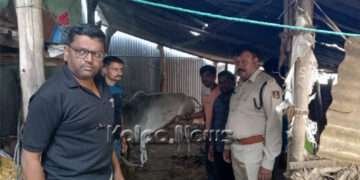 ಅಕ್ರಮ ಕಸಾಯಿಖಾನೆ ಮೇಲೆ ದಾಳಿ: ಗೋಮಾಂಸ ಸಹಿತ ಐವರು ಬಂಧನ